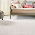 Shaw Colorwall Premium Carpet