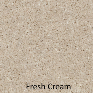 Carpet - Best Quality Plush - Cream