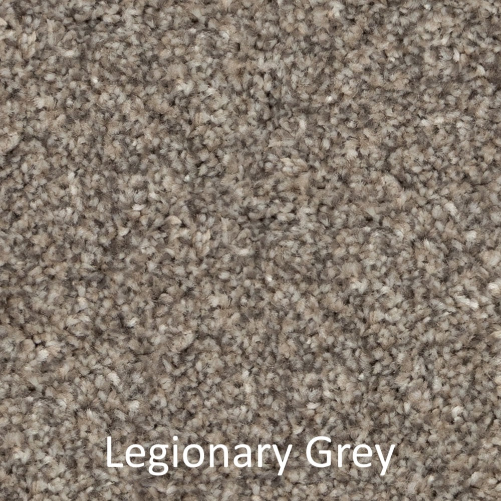 Carpet - Best Quality Plush - Grey