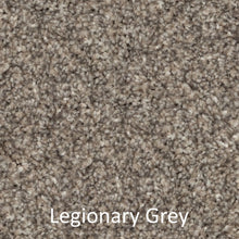 Load image into Gallery viewer, Carpet - Best Quality Plush - Grey