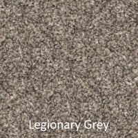 Carpet - Best Quality Plush - Grey