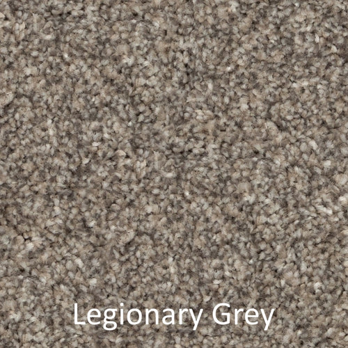 Carpet - Best Quality Plush - Grey