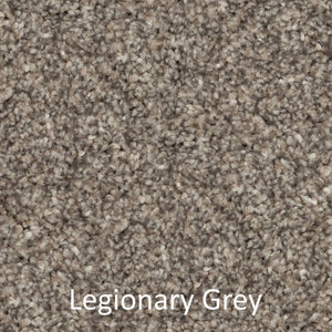 Carpet - Best Quality Plush - Grey