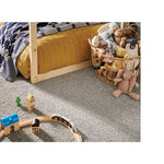 Shaw Colorwall Premium Carpet