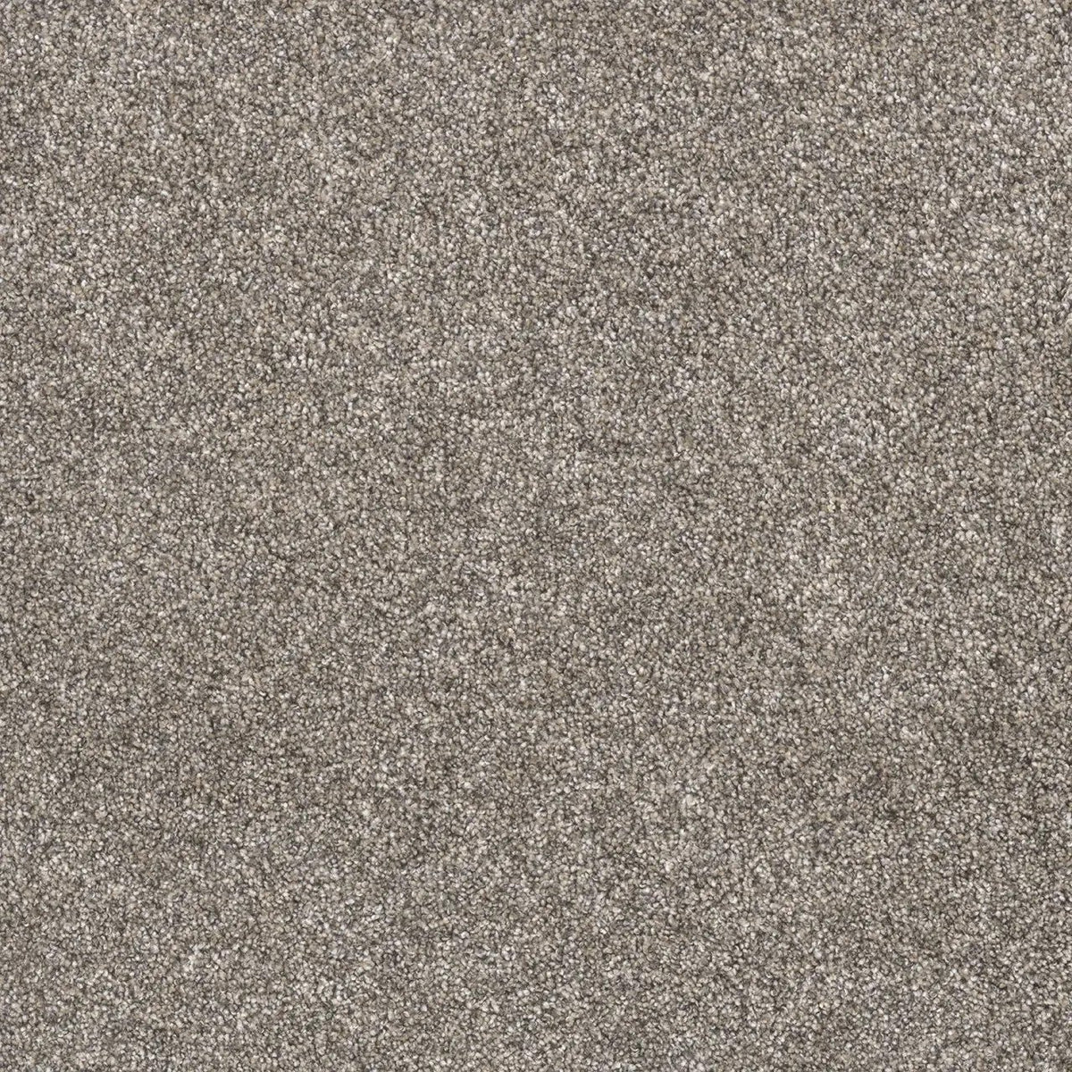 DreamWeaver Gold Standard Carpet Collection Note