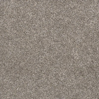 DreamWeaver Gold Standard Carpet Collection Note