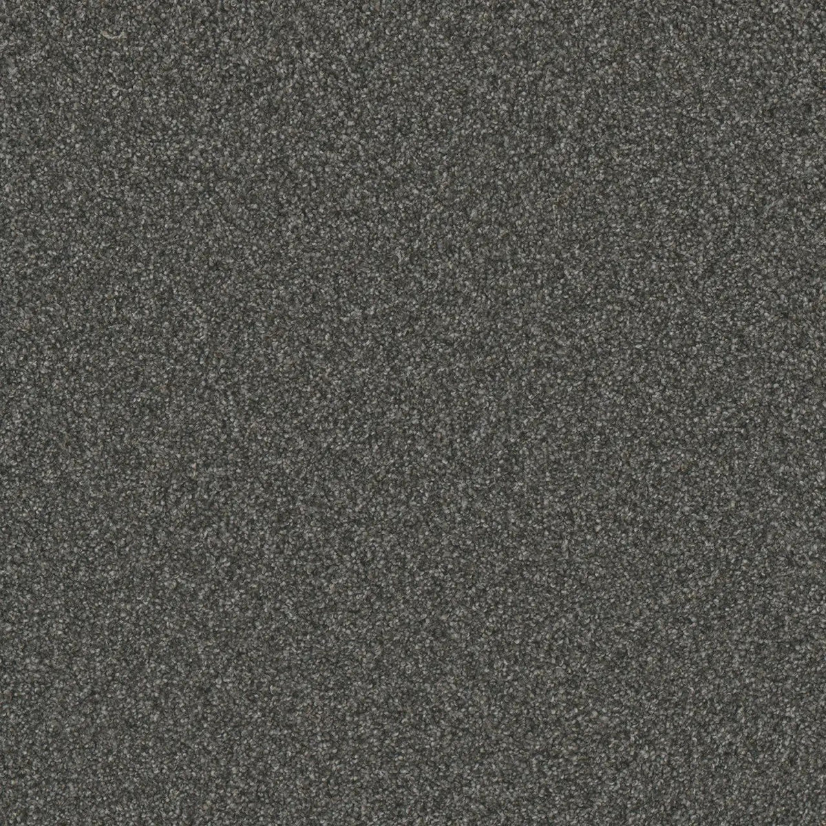 DreamWeaver Gold Standard Carpet Collection Mica