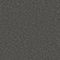 DreamWeaver Gold Standard Carpet Collection Mica