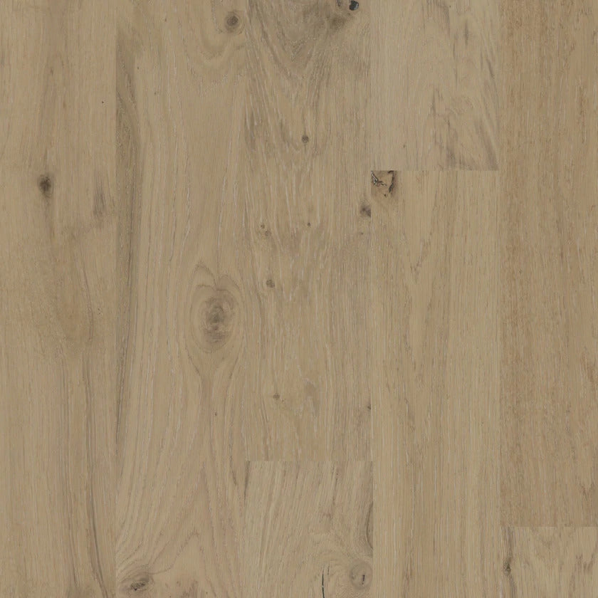 Biyork Nouveau 6 Hardwood - Great Quality & Great Price, 6 1/2" wide x 3/4 thick! European Oak - Morning Oaks