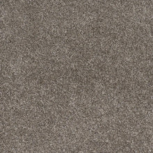 Load image into Gallery viewer, DreamWeaver Gold Standard Carpet Collection Pewter