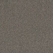 Load image into Gallery viewer, DreamWeaver Gold Standard Carpet Collection Graphite
