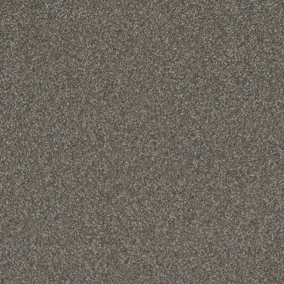 DreamWeaver Gold Standard Carpet Collection Graphite