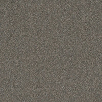 DreamWeaver Gold Standard Carpet Collection Graphite