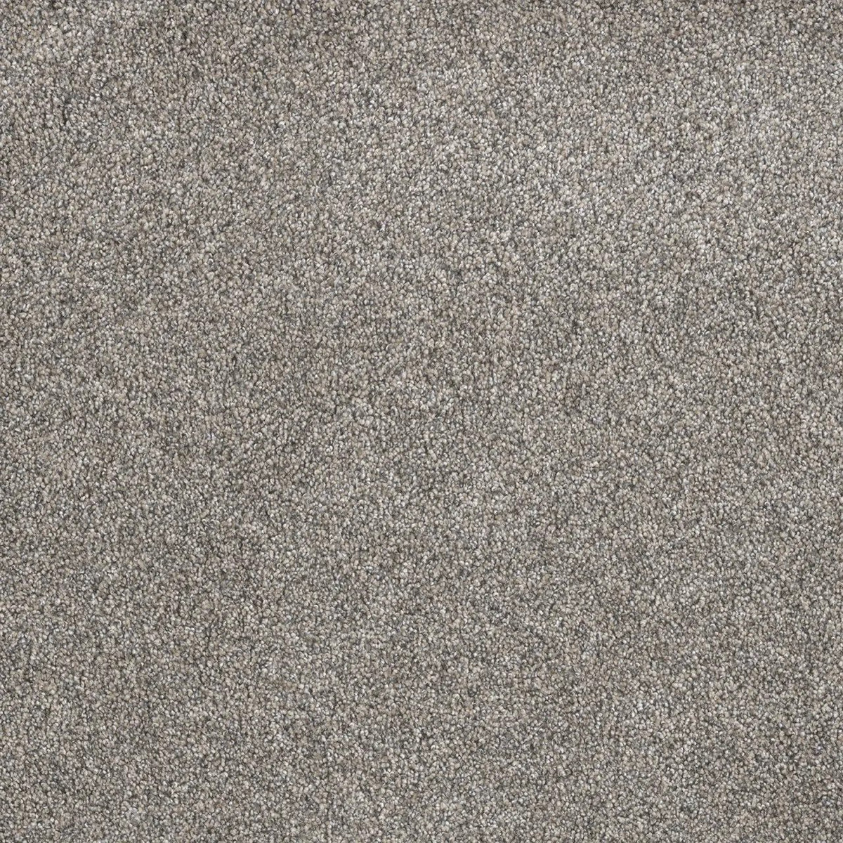 DreamWeaver Gold Standard Carpet Collection Crystal