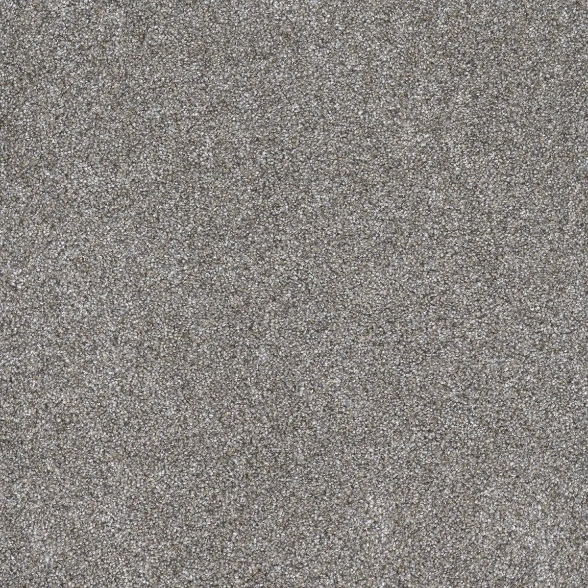 DreamWeaver Gold Standard Carpet Collection Chrome
