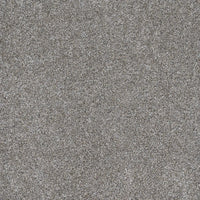 DreamWeaver Gold Standard Carpet Collection Chrome