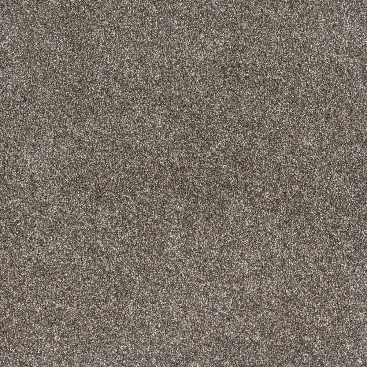 DreamWeaver Gold Standard Carpet Collection