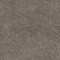 DreamWeaver Gold Standard Carpet Collection Galvanized