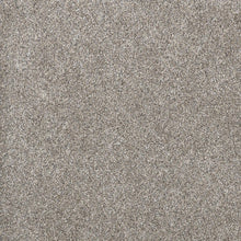 Load image into Gallery viewer, DreamWeaver Gold Standard Carpet Collection Sterling