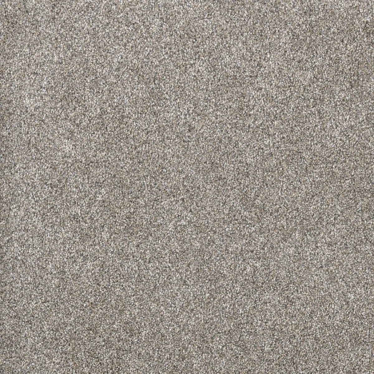 DreamWeaver Gold Standard Carpet Collection Sterling