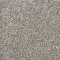 DreamWeaver Gold Standard Carpet Collection Sterling