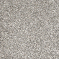 DreamWeaver Gold Standard Carpet Collection Glitter