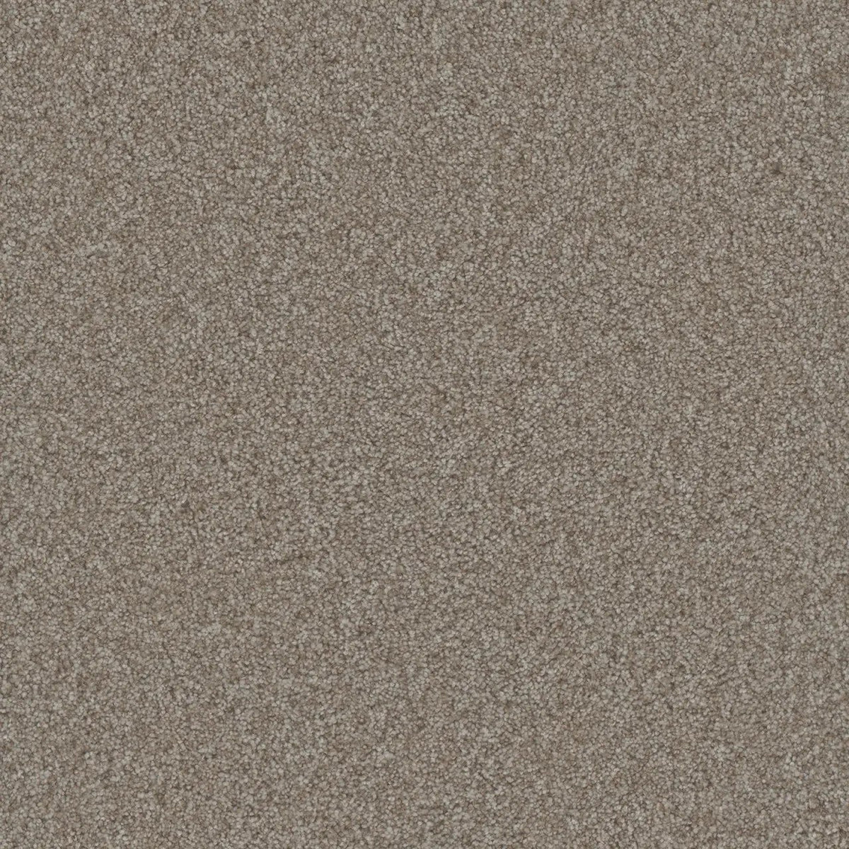 DreamWeaver Gold Standard Carpet Collection Alloy