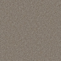 DreamWeaver Gold Standard Carpet Collection Alloy