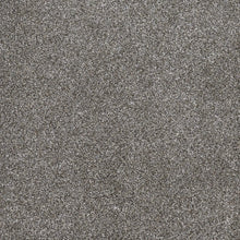 Load image into Gallery viewer, DreamWeaver Gold Standard Carpet Collection Metallic