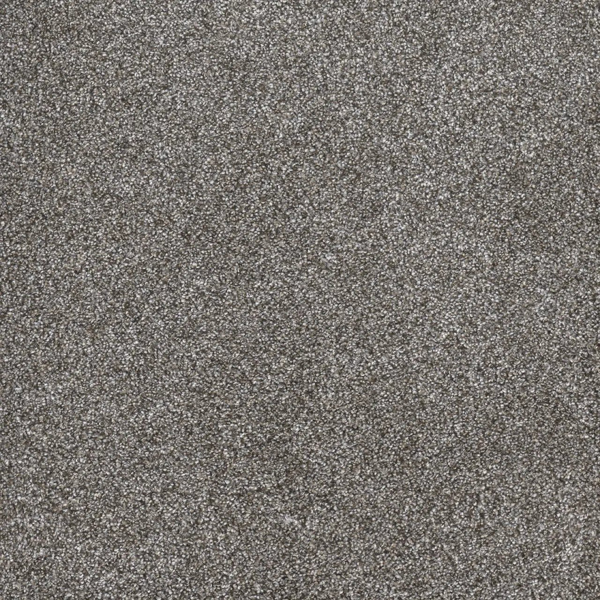 DreamWeaver Gold Standard Carpet Collection Metallic