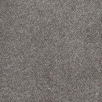 DreamWeaver Gold Standard Carpet Collection Metallic