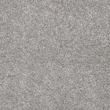 Load image into Gallery viewer, DreamWeaver Gold Standard Carpet Collection Quartz