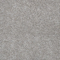 DreamWeaver Gold Standard Carpet Collection Quartz