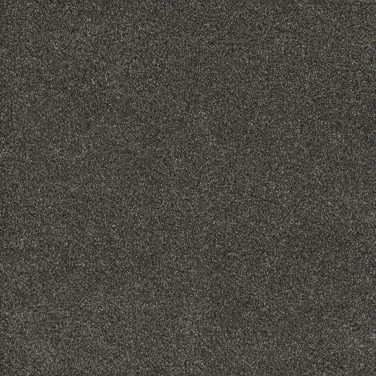 DreamWeaver Gold Standard Carpet Collection Benchmark