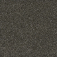 DreamWeaver Gold Standard Carpet Collection Benchmark