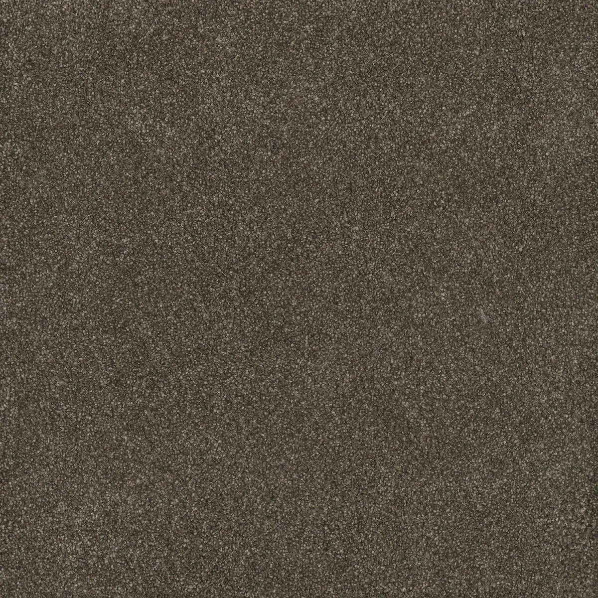 DreamWeaver Gold Standard Carpet Collection Ingot