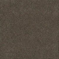 DreamWeaver Gold Standard Carpet Collection Ingot