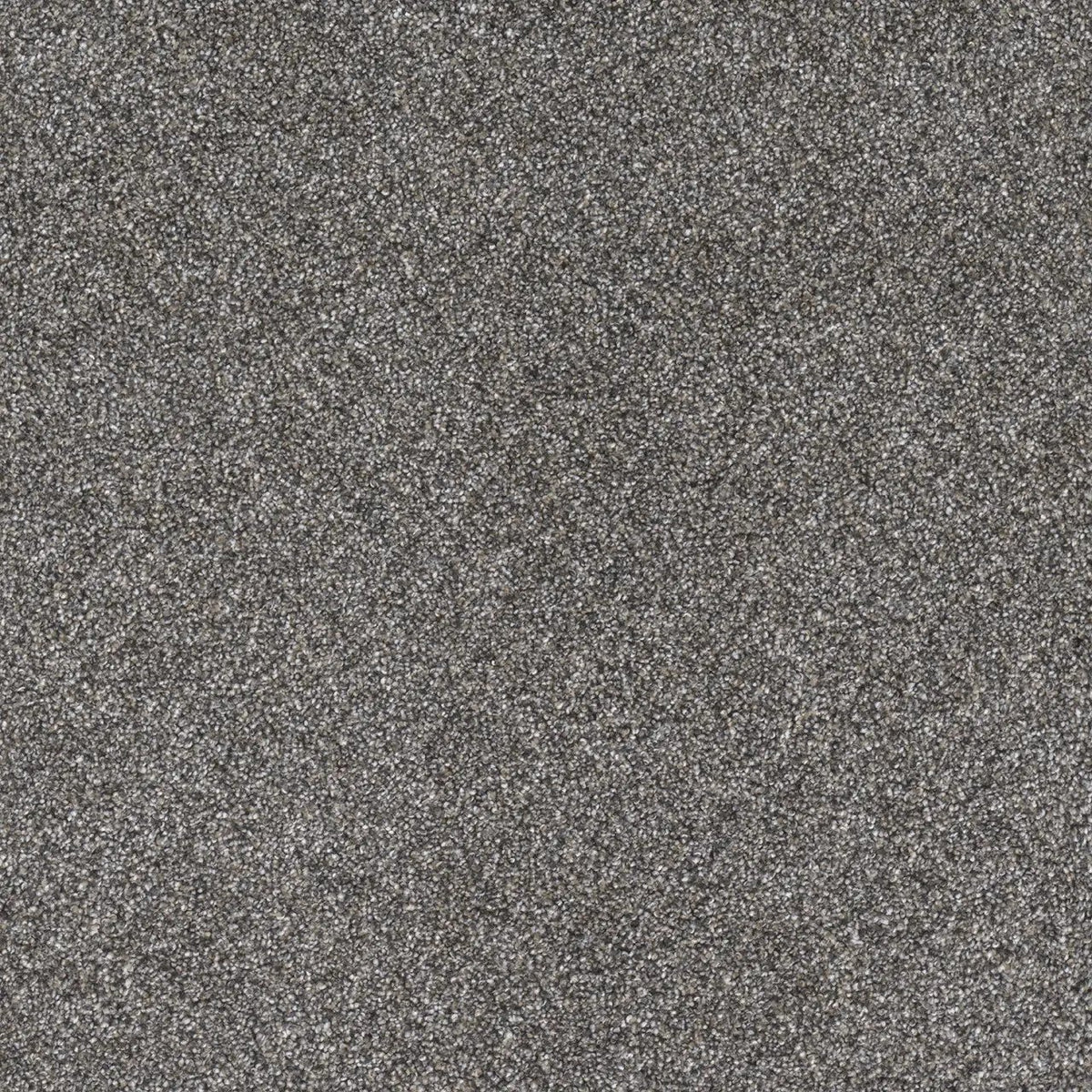 DreamWeaver Gold Standard Carpet Collection Reserve