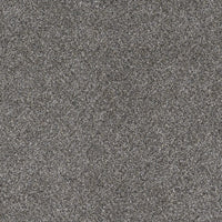 DreamWeaver Gold Standard Carpet Collection Reserve