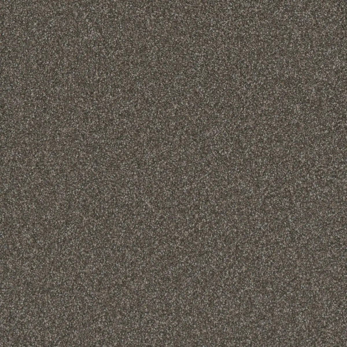 DreamWeaver Gold Standard Carpet Collection Topaz