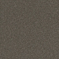 DreamWeaver Gold Standard Carpet Collection Topaz