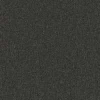 DreamWeaver Gold Standard Carpet Collection Onyx