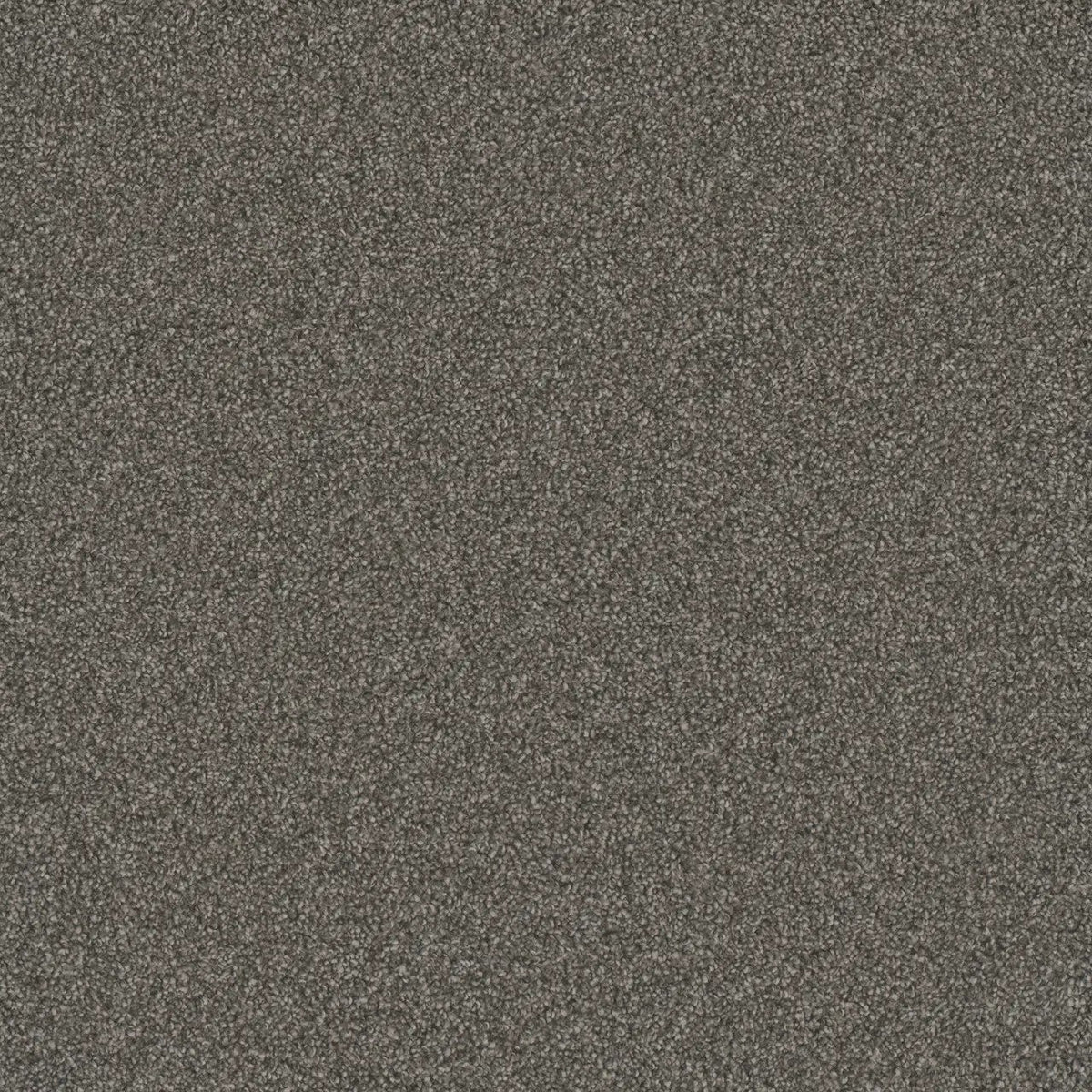 DreamWeaver Gold Standard Carpet Collection Platinum