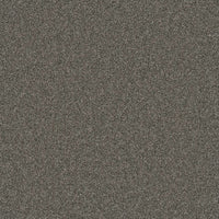DreamWeaver Gold Standard Carpet Collection Platinum