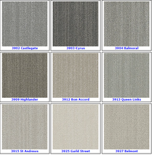 Load image into Gallery viewer, Textured Loop Carpet - Dreamweaver Select - Great Deal @ $4.29/SF Aberdeen