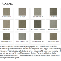 Carpet by DreamWeaver Acclaim
