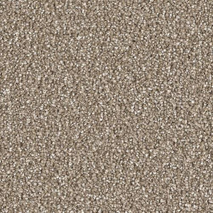 Carpet Remnants - Huge Savings! Cape Cod Acorn 5’2”x6’4”
