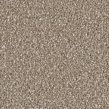 Load image into Gallery viewer, Carpet Remnants - Huge Savings! Cape Cod Acorn 11’3”x14’