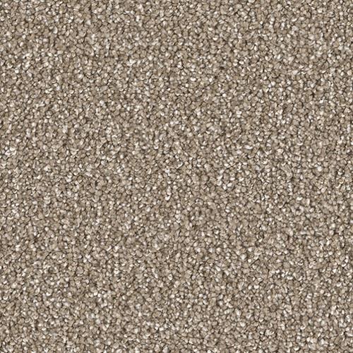 Carpet Remnants - Huge Savings! Hollywood Orion 12’x5’3”