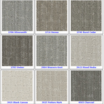 Textured Loop Carpet - Dreamweaver Select - Great Deal @ $4.29/SF